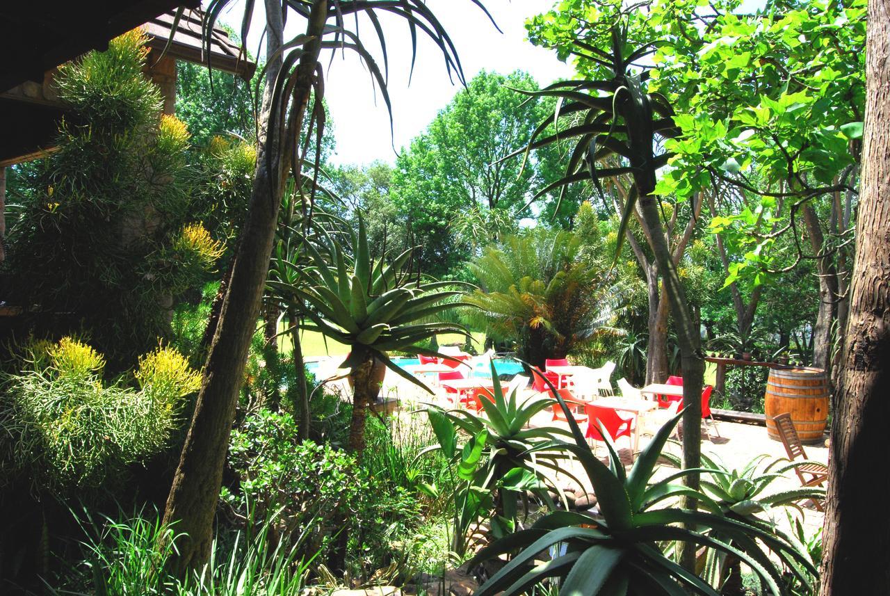הילקרסט Kangelani Lodge מראה חיצוני תמונה